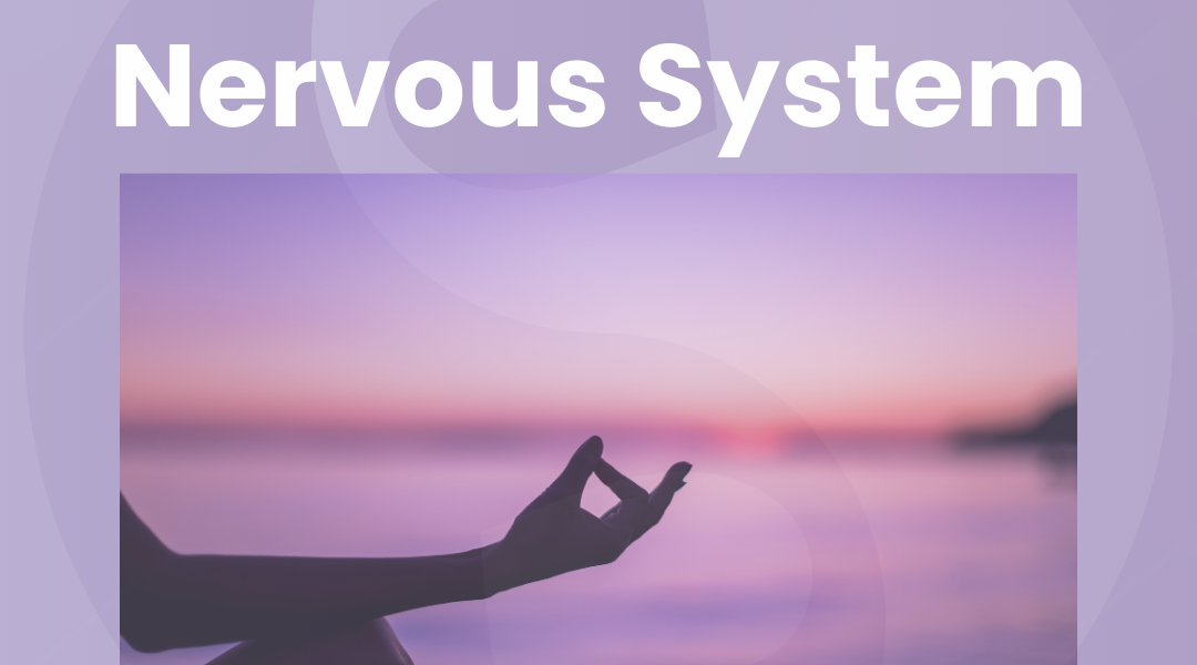 Yoga and the Nervous System