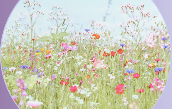 Find out more about the herbs that have informed our yoga practice in 2025. Herbs have an important part to play in both Ayurveda and Western herbal medicine. These herbs […]